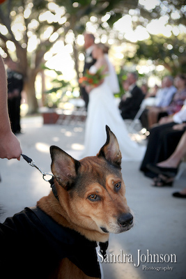 Best Winter Park Civic Center Wedding Photos - Sandra Johnson (SJFoto.com)